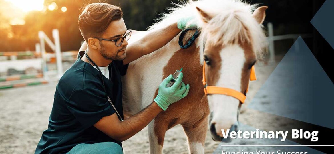 Why Your Veterinary Website Needs a Blog