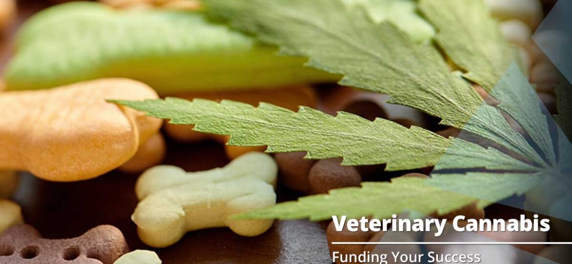 Intro to Cannabis in Veterinary Practice