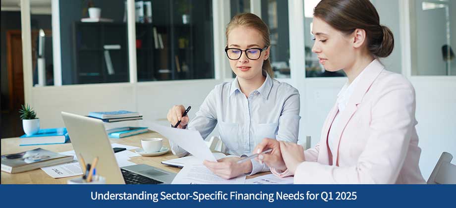 Understanding Sector-Specific Financing Needs for Q1 2025
