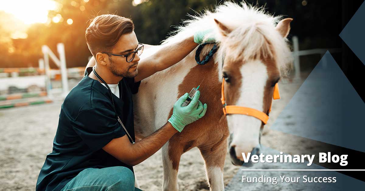 Why Your Veterinary Website Needs a Blog - ARF Financial