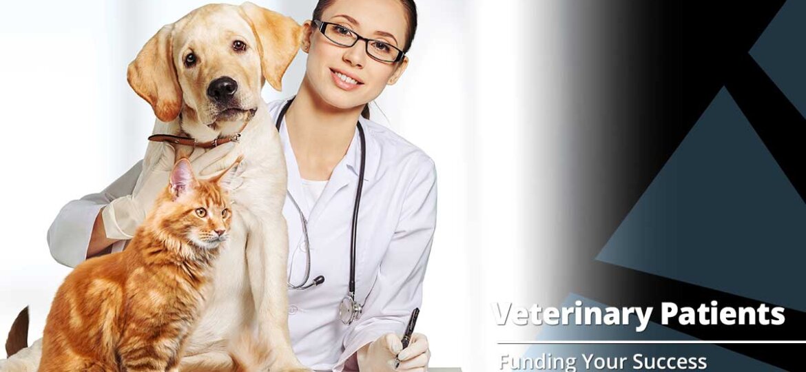 Should Your Veterinary Practice Expand to Exotics?