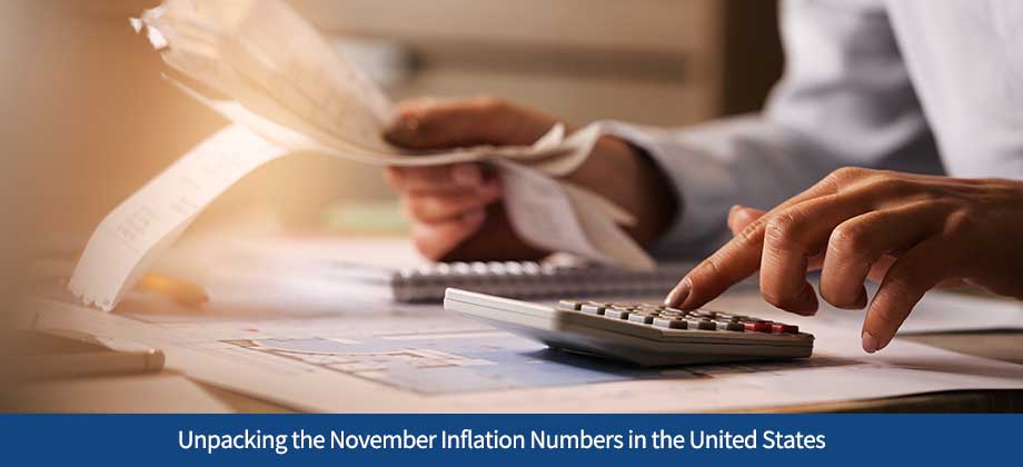 Unpacking the November Inflation Numbers in the United States
