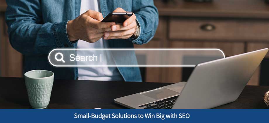 Small-Budget Solutions to Win Big with SEO