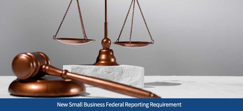 New Small Business Federal Reporting Requirement