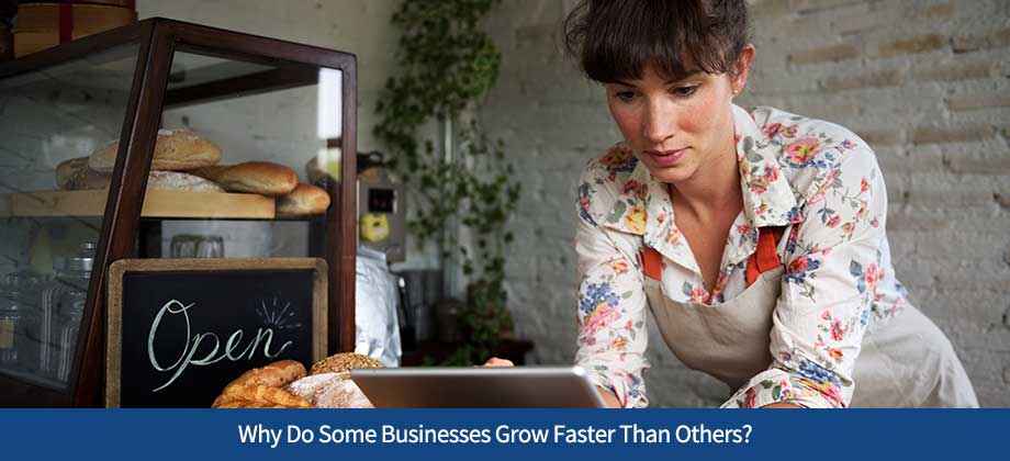 Why Do Some Businesses Grow Faster Than Others?
