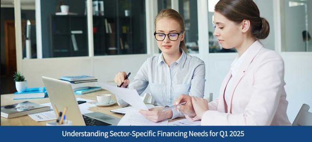 Understanding Sector-Specific Financing Needs for Q1 2025